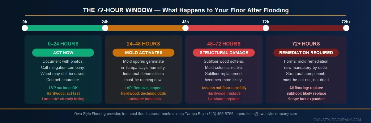 72-hour timeline infographic for flood-damaged floors in Tampa Bay